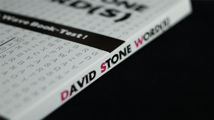 David Stone's Words (English Version)