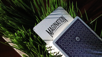 DMC Alpha V3 (Purple) Portcullis with Online Instructions