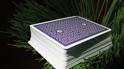 DMC Alpha V3 (Purple) Portcullis with Online Instructions