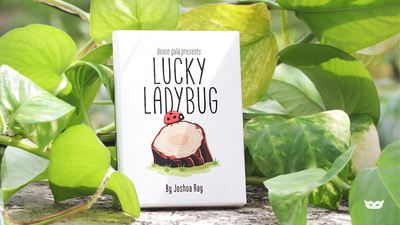 Lucky Ladybug (Log) by Joshua Ray & Deuce Gala Magic