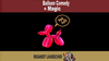 Balloon Comedy & Magic by Regardt Laubscher eBook