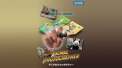 Animal photographer