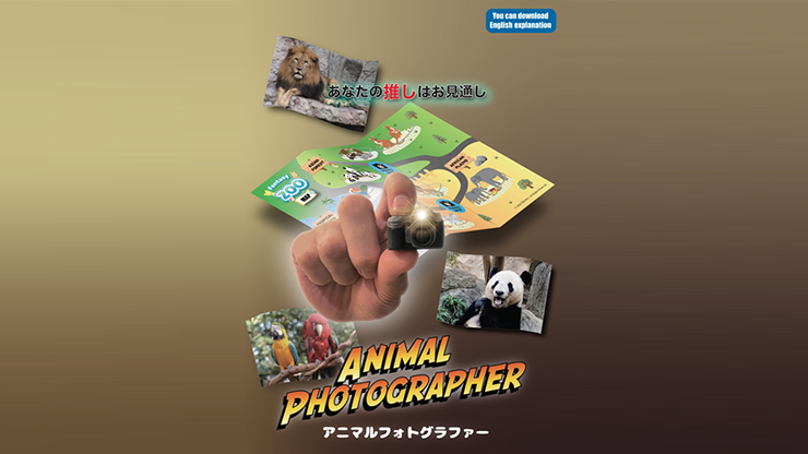 Animal photographer