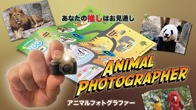 Animal photographer