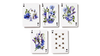 Nectar Meadows Playing Cards