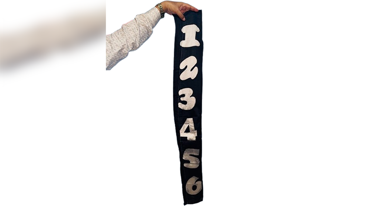 Jumbled Numbers by The Essel Magic