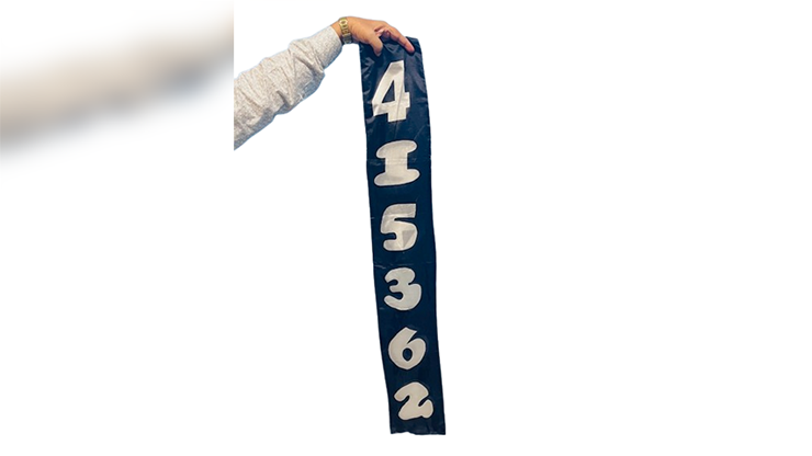 Jumbled Numbers by The Essel Magic