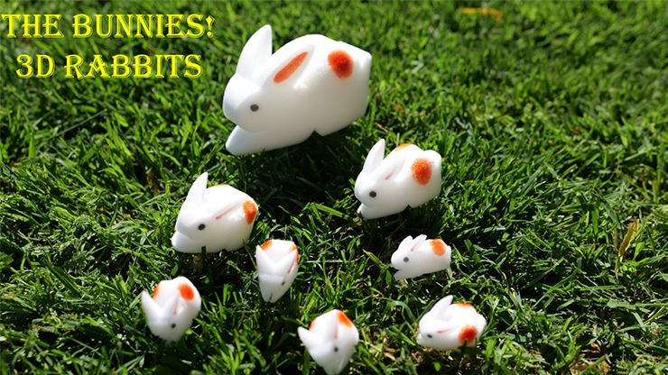 The Bunnies! 3D Rabbits (Parents, Kids & Grandpa)