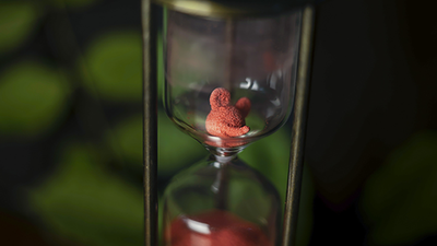 TIME by Yoan TANUJI & Magic Dream