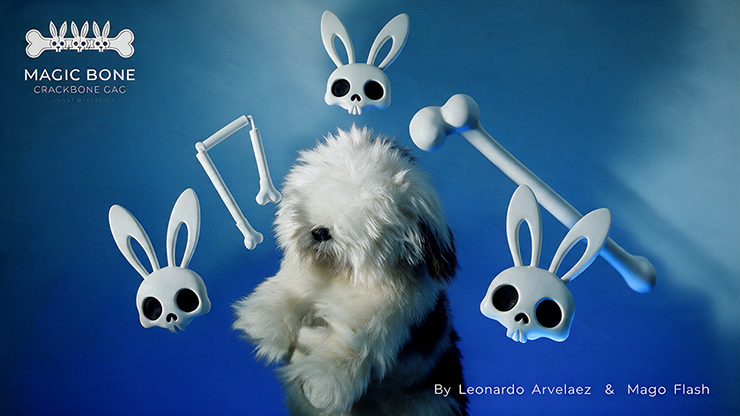 Magic Bones by Leonardo Arvelaez