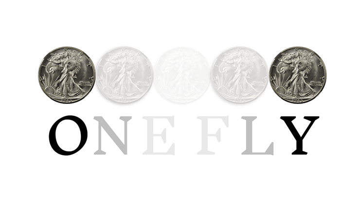 OneFly by Pieter Hofstra video DOWNLOAD