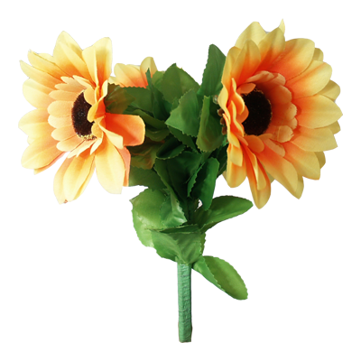 Amazing Split Sunflower by Premium Magic - Trick
