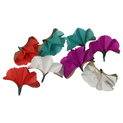 Bare Hand Spring Flower (16) by Premium Magic - Trick