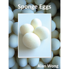 Sponge Eggs (4pk.) by Alan Wong - Trick