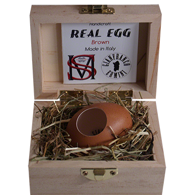 Real Egg (Brown) by Gianfranco Ermini & Stratomagic - Trick