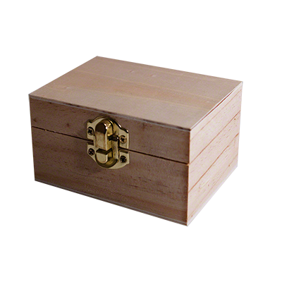 Real Egg (Brown) by Gianfranco Ermini & Stratomagic - Trick