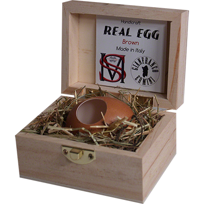 Real Egg (Brown) by Gianfranco Ermini & Stratomagic - Trick