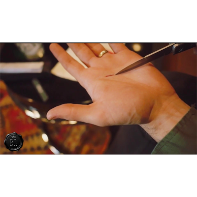 Cut 2.0 LIMITED by Ran Pink - Trick