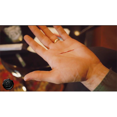 Cut 2.0 LIMITED by Ran Pink - Trick