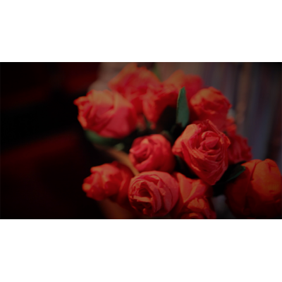 The Saint-Exerpury Rose by Vincent Mendoza & Lost Art Magic - Video DOWNLOA