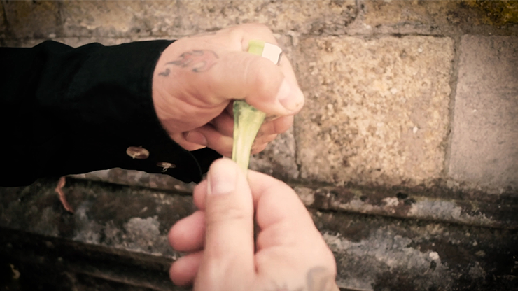 Meltdown by Jimmy Strange (Gimmicks and Online Instructions) - Trick