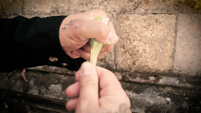 Meltdown by Jimmy Strange (Gimmicks and Online Instructions) - Trick