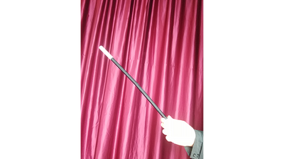 Wilting Magic Wand by Strixmagic - Trick