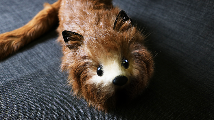 Red Fox Spring Animal by Magic Masters - Trick