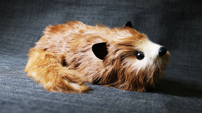 Red Fox Spring Animal by Magic Masters - Trick