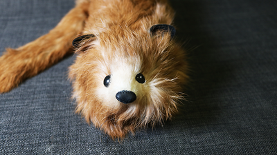 Red Fox Spring Animal by Magic Masters - Trick