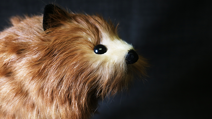 Red Fox Spring Animal by Magic Masters - Trick