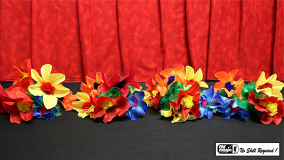 Production Hank with Four Bouquets by Mr. Magic - Trick