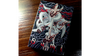 Sumi Kitsune Tale Teller Playing Cards by Card Experiment