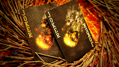 Bicycle Asteroid Playing Cards by US Playing Card