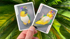 Bicycle Parrot Extinct Playing Cards