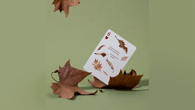 Eastern Forest Playing Cards by Art of Play