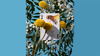 Eastern Forest Playing Cards by Art of Play