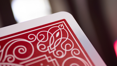 Lion Monte by Brother's Magic (color may vary)