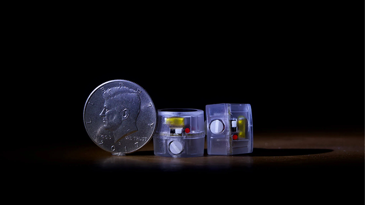 WingsMagic Present Tempo Elf by Mental Tom  - Trick