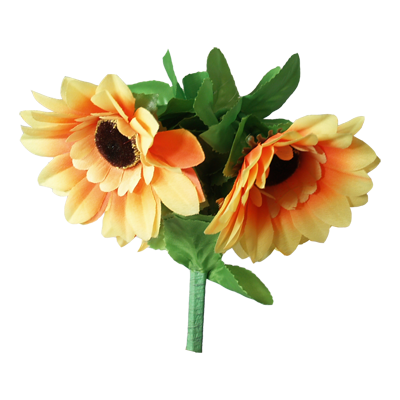 Amazing Split Sunflower by Premium Magic - Trick
