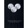 Sanchez Fly by David Gabbay - video - DOWNLOAD
