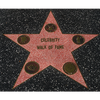 Celebrity Walk of Fame by Jonathan Royle - Video/Book DOWNLOAD