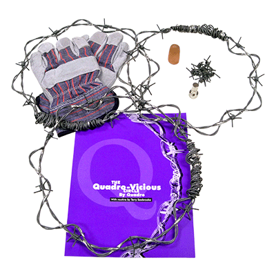 Quadro Vicious Circle Linking Rings by Murphys Magic Supplies - Trick