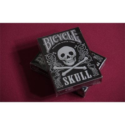 Bicycle Skull Metallic (Silver) USPCC by Gambler's Warehouse